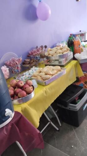 casa lar estrela brilha (10)