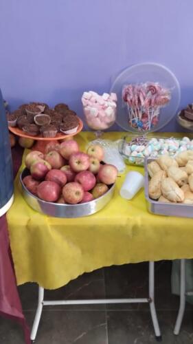 casa lar estrela brilha (11)