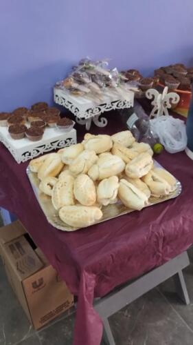 casa lar estrela brilha (12)